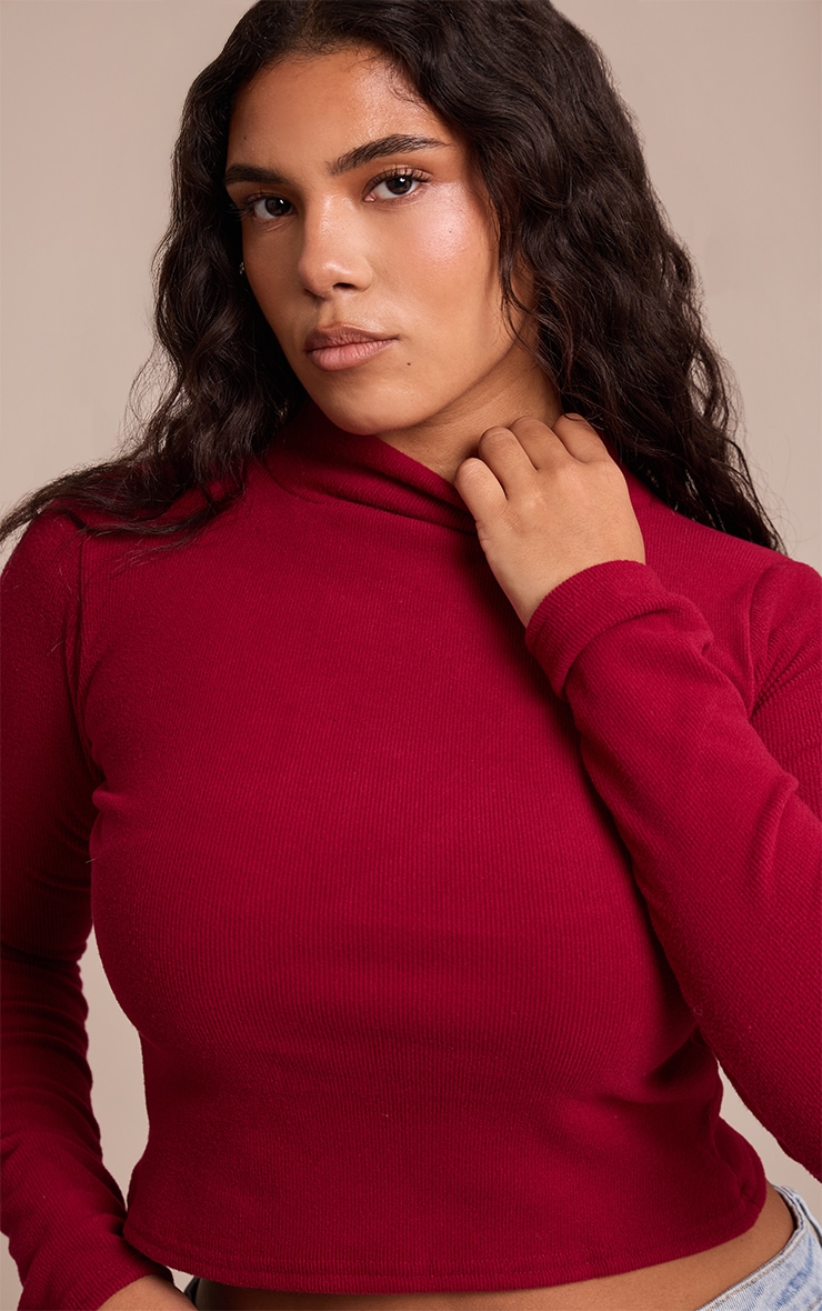 Shape Burgundy Micro Rib Long Sleeve Roll Neck Top image 1