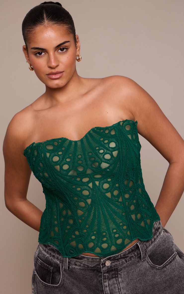 Plus Emerald Green Textured bandeau Sheer Floral Lace Corset image 1