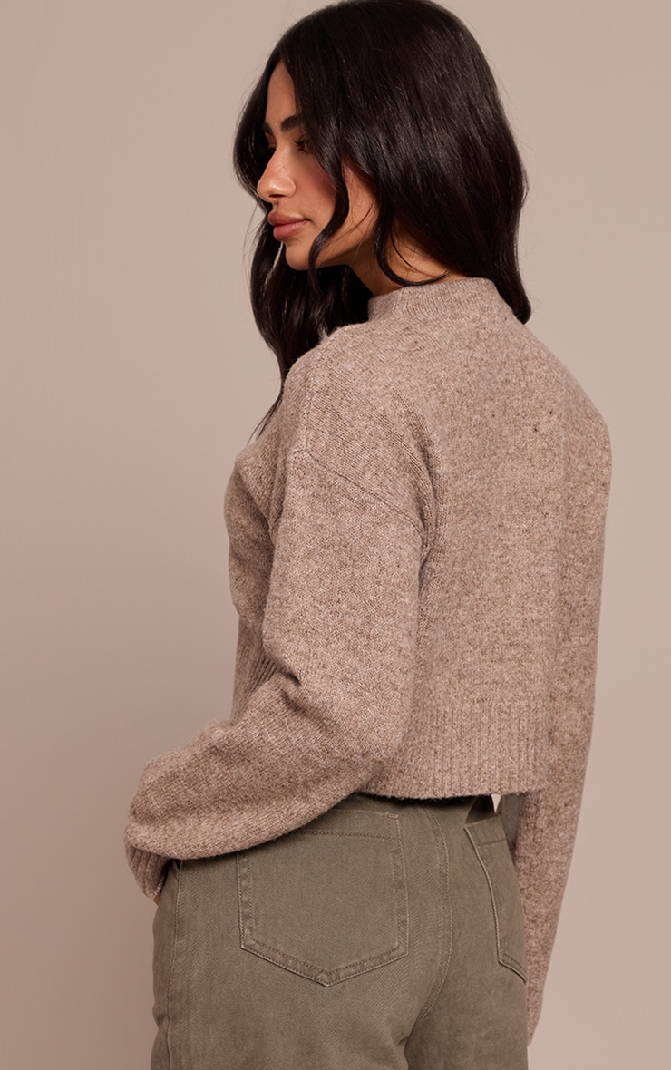Petite Taupe Knit High Neck Crop Sweater image 2