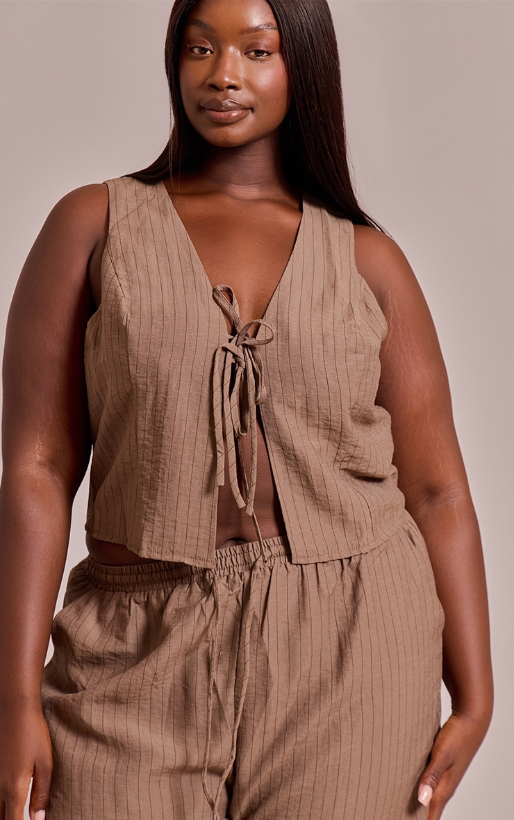 Plus Brown Pinstriped Tie Front Top image 1