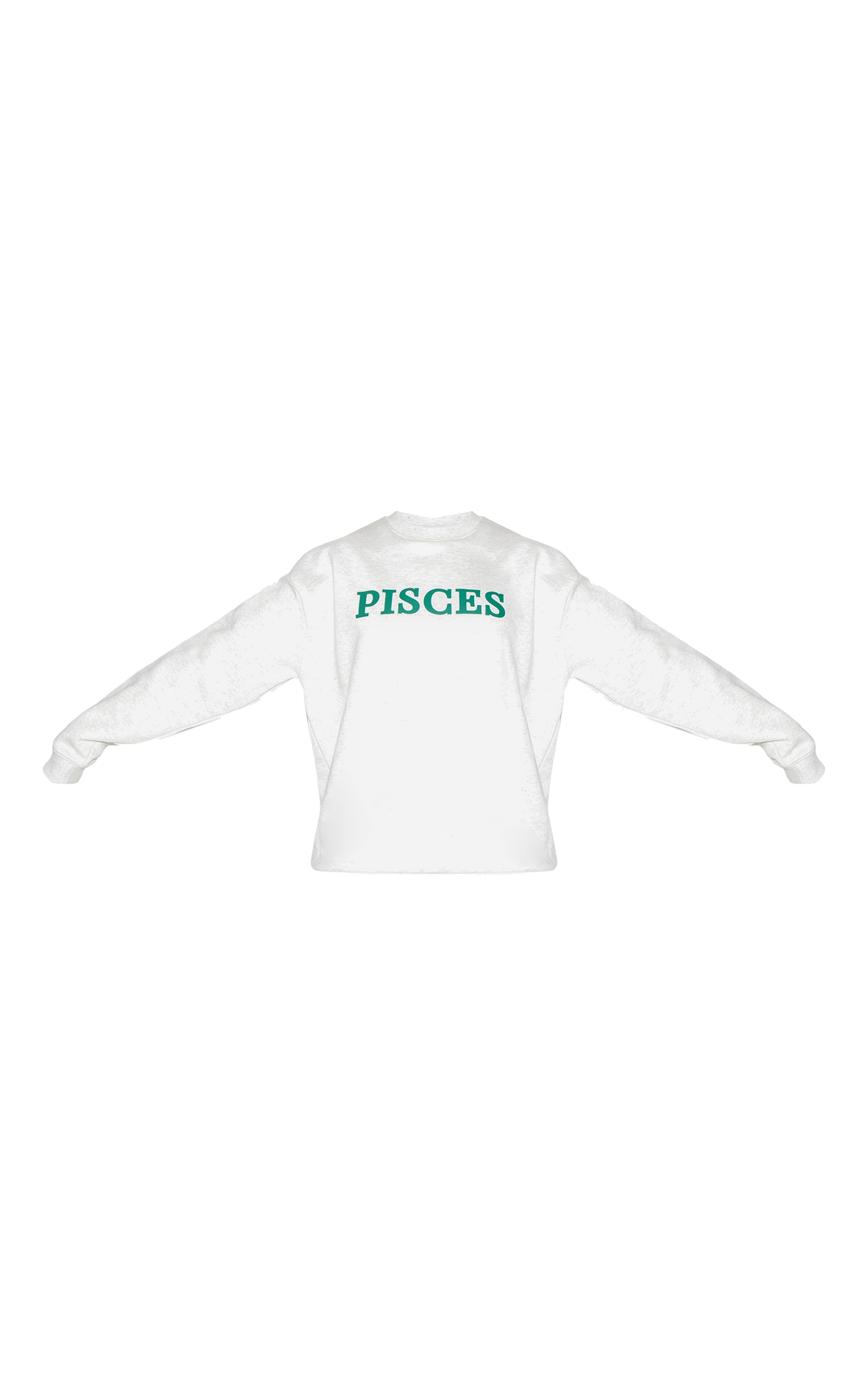 Ash Grey Pisces Printed Oversized Sweat image 5