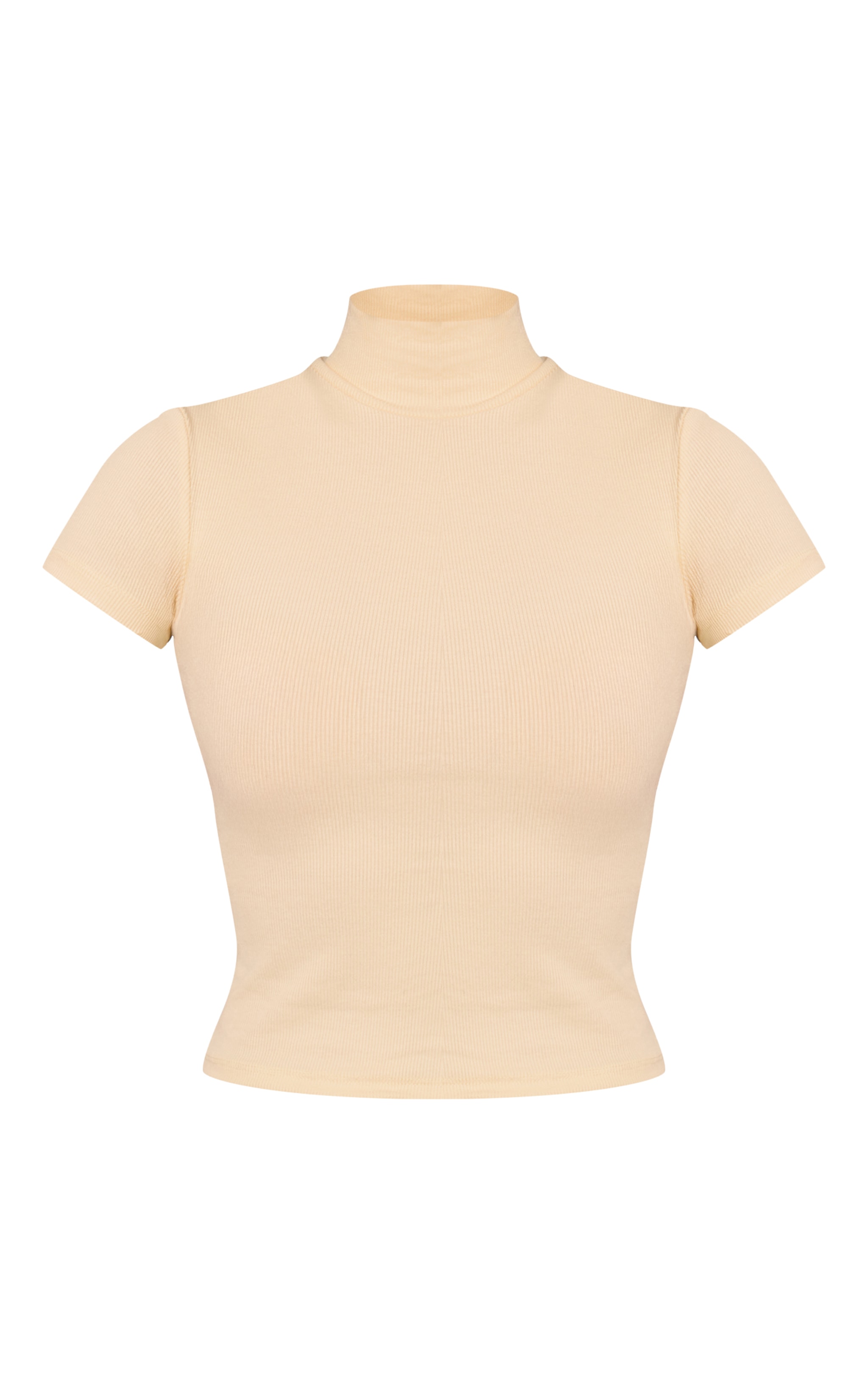 Buttercream Soft Rib High Neck Fitted Longline T-Shirt image 5