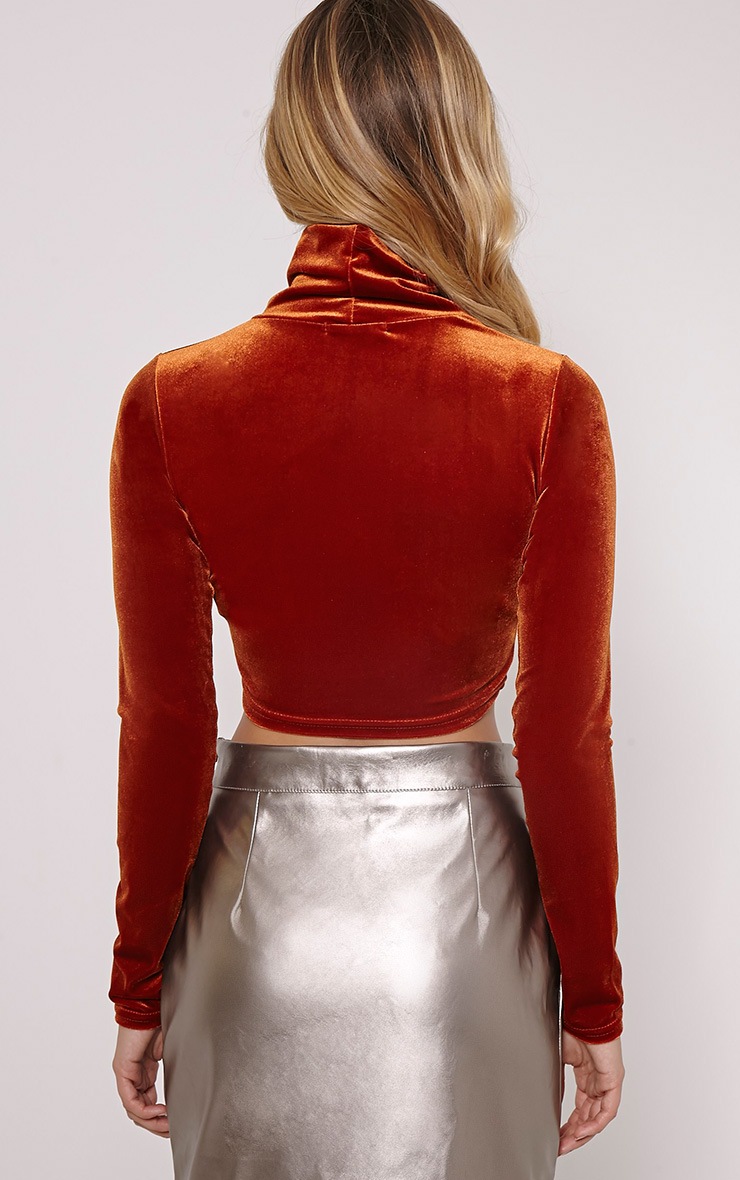 Simona Rust Velvet High Neck Long Sleeved Crop Top PrettyLittleThing