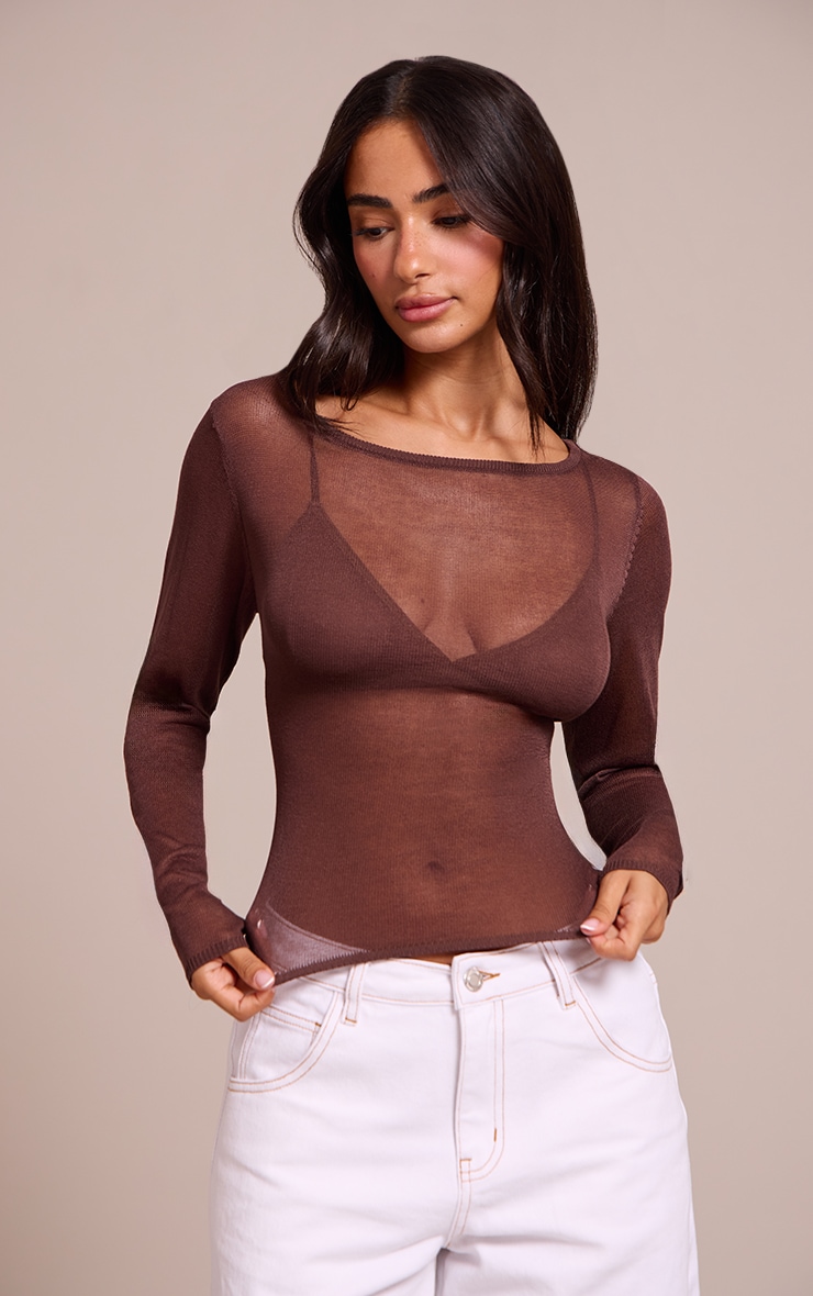 Petite Chocolate Sheer Knit Long Sleeve Top image 1
