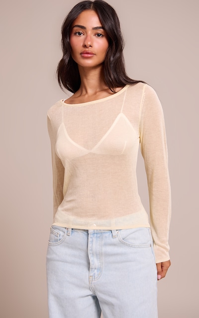 Petite Butter Cream Sheer Knit Long Sleeve Top