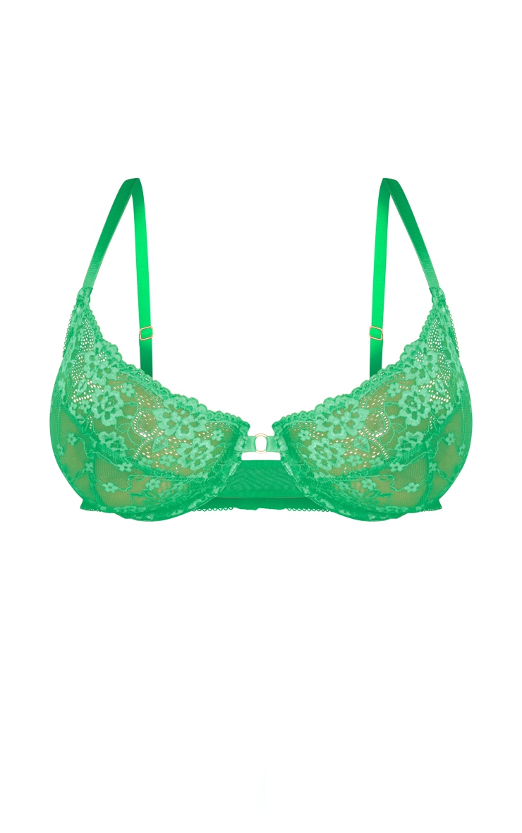 Green Floral Lace Underwired Cup +Dd Bra image 1