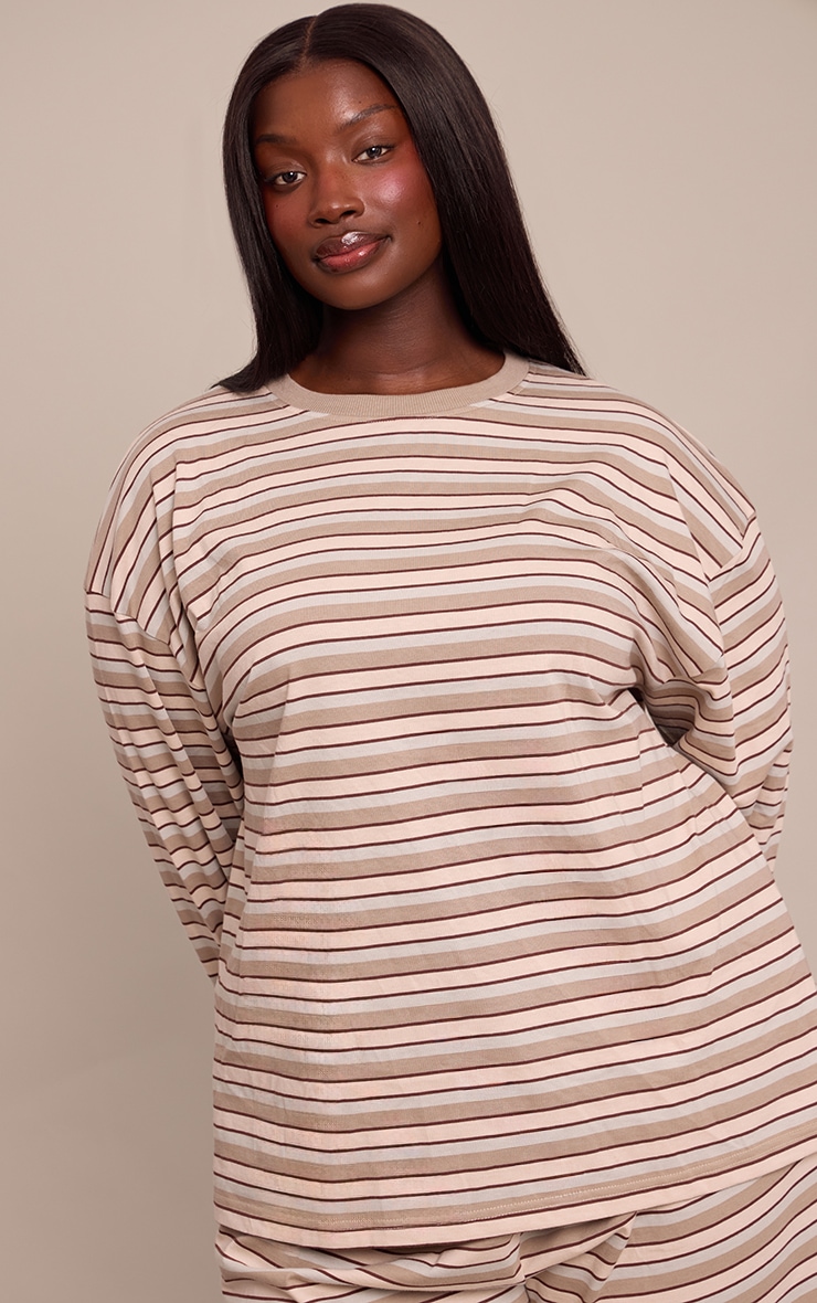 Plus Chocolate Striped Long Sleeved Top