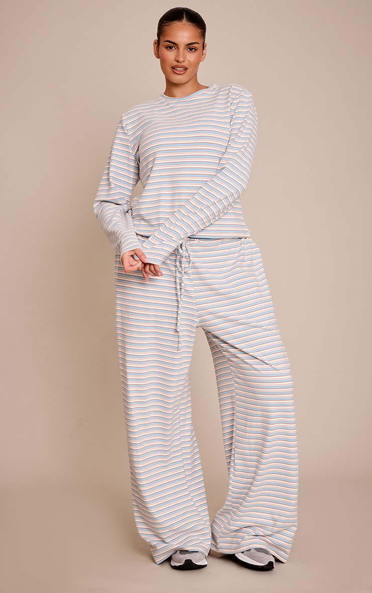 Plus Light blue Striped Soft Fleece Long Sleeve Top image 3