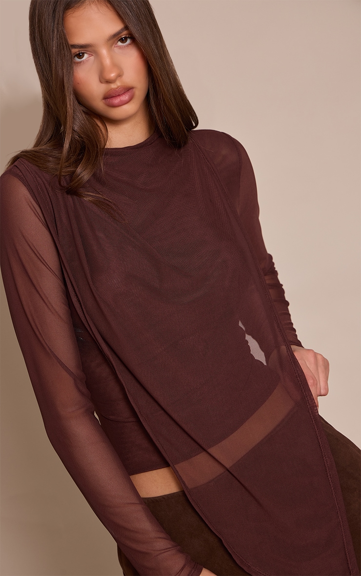 Dark Chocolate High Neck Mesh Drapey Long Sleeve Top  image 4