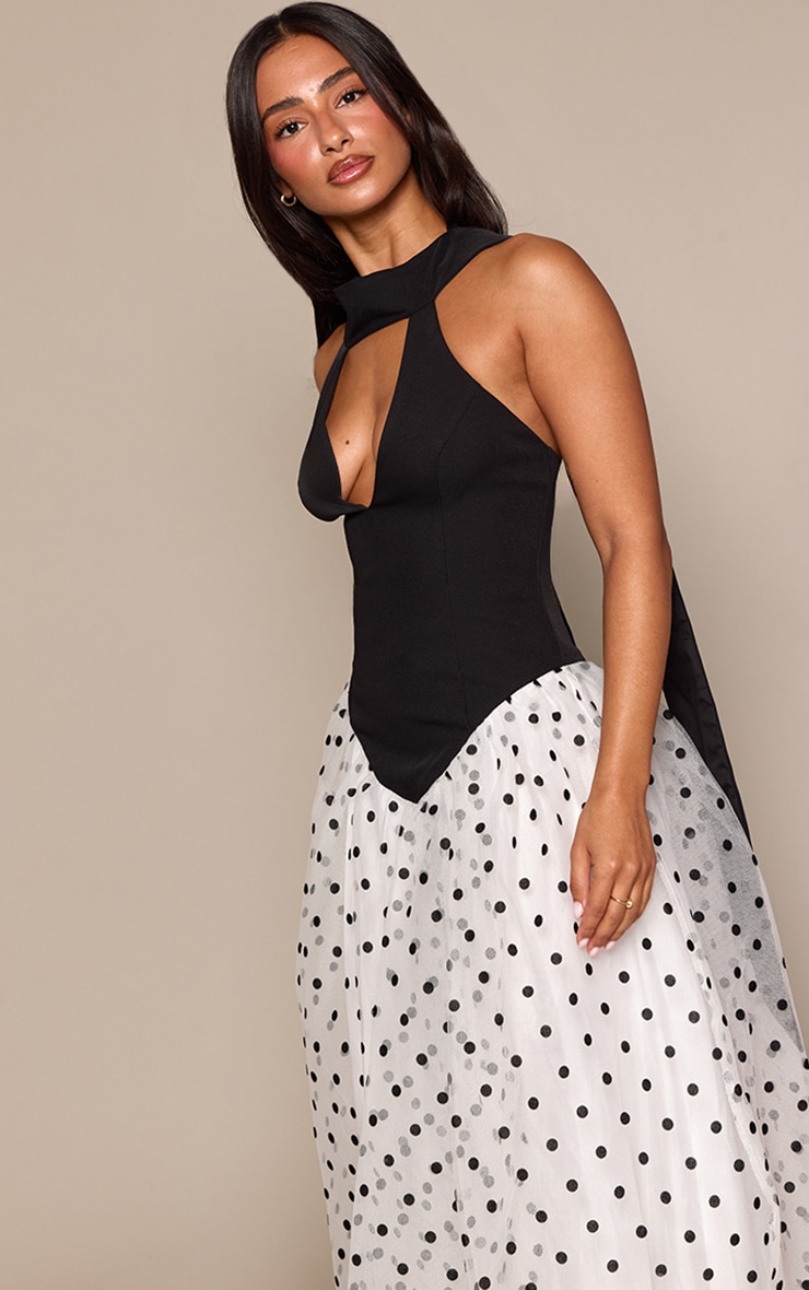 Petite Black Polka Dot Halterneck Scarf Dropped Waist Mesh Maxi Dress image 4