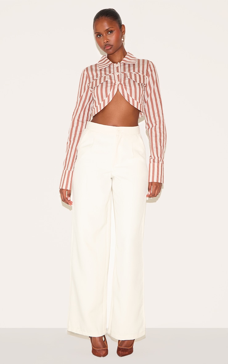 Brown Striped Curved Hem Cropped Shirt image 3