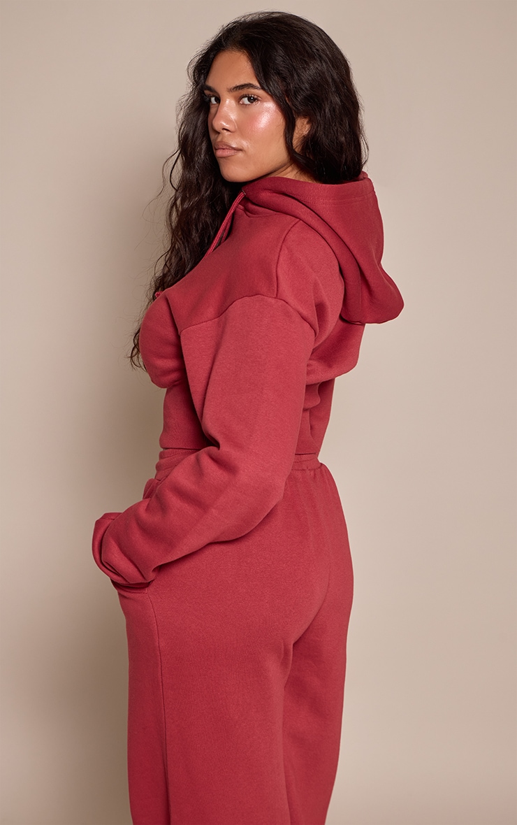 Shape Rosewood Sweat Cropped Shirred Waist Hoodie image 2