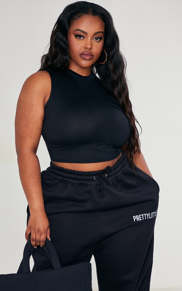 Plus Black Soft Touch High Neck Crop Top image 3