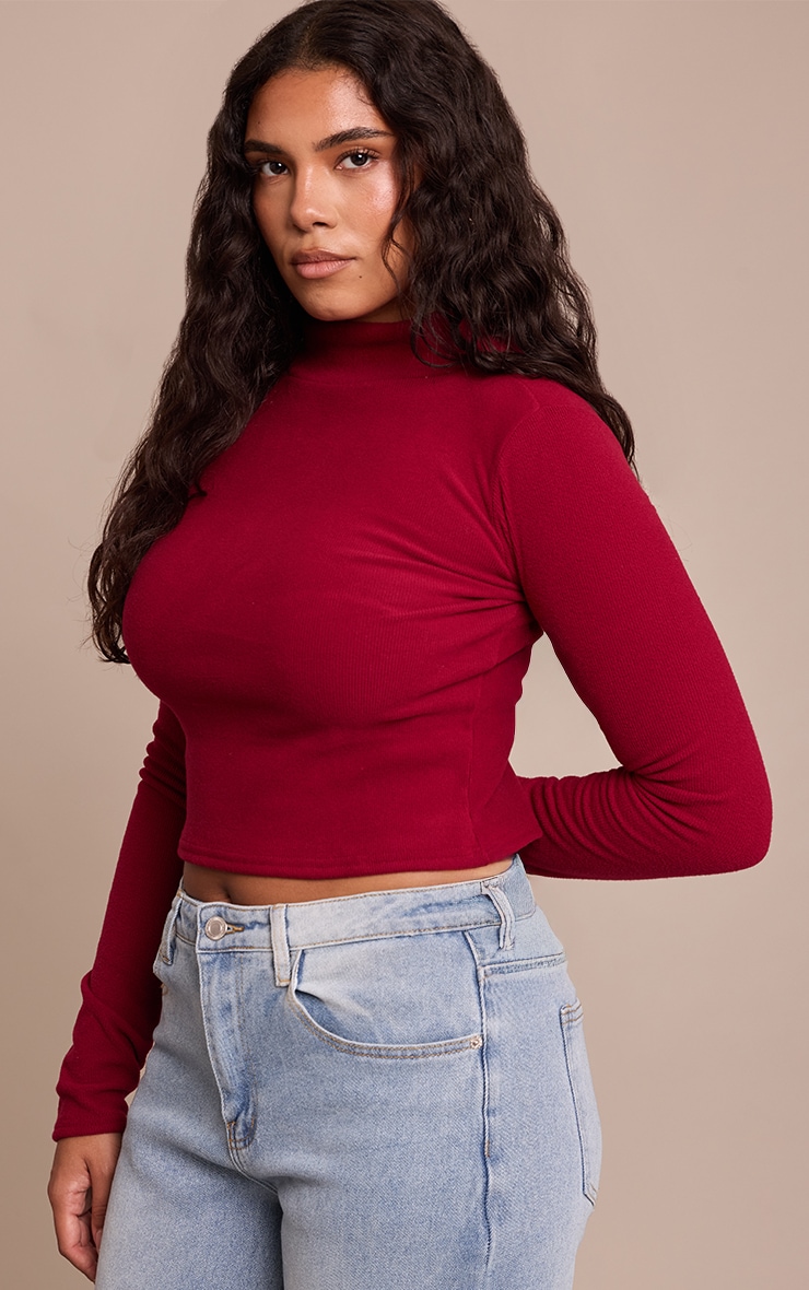 Shape Burgundy Micro Rib Long Sleeve Roll Neck Top image 4