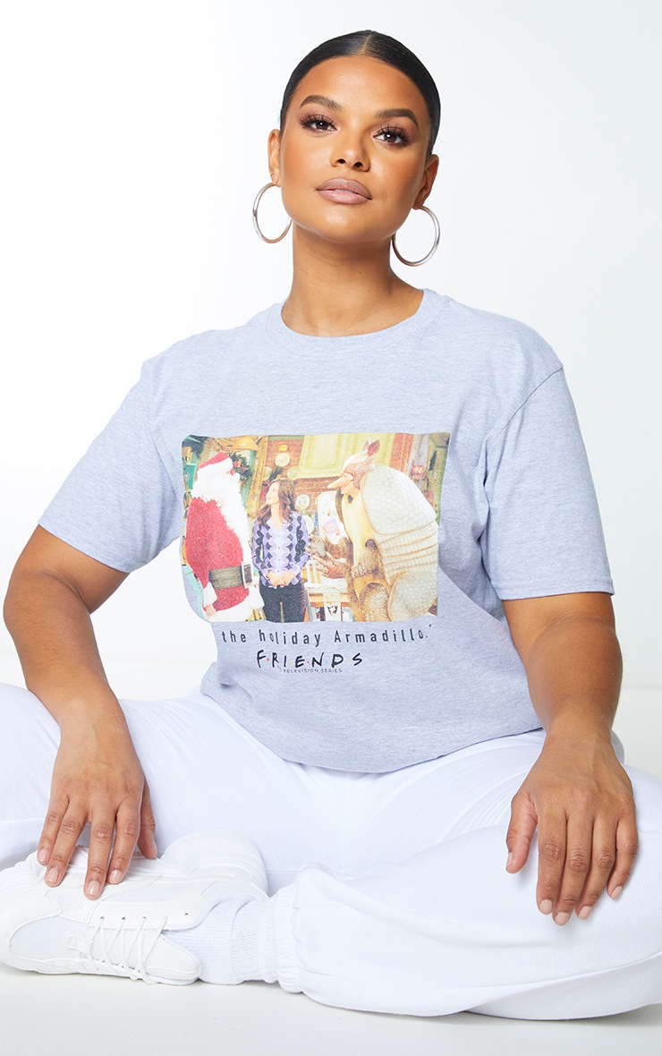 Plus Grey Friends Holiday Armadillo Slogan T Shirt
