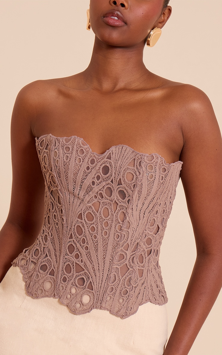 Mushroom Textured Sheer Floral Lace Corset image 4