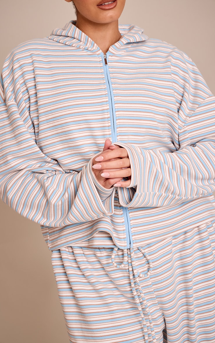 Plus Light Blue Striped Soft Fleece Zip Up Hoodie image 4