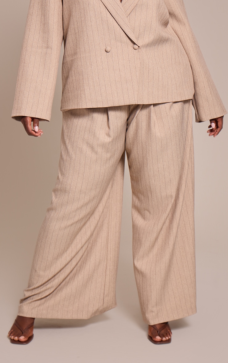 Plus Taupe Pinstripe Pleated Wide Leg Pants image 2