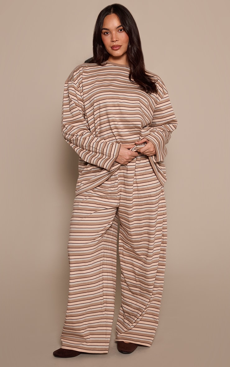 Plus Light Brown Striped Long Sleeved Top image 3