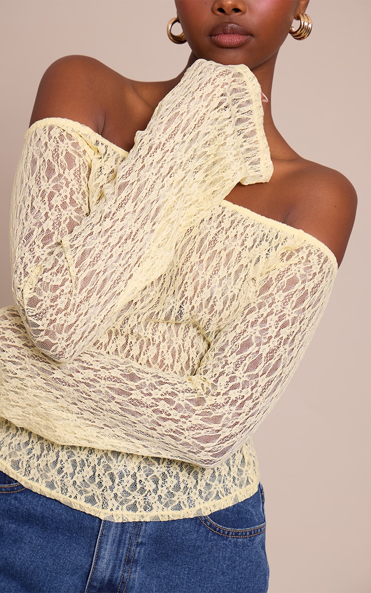 Lemon Textured Sheer Lace Bardot Flared Long Sleeve Top image 4