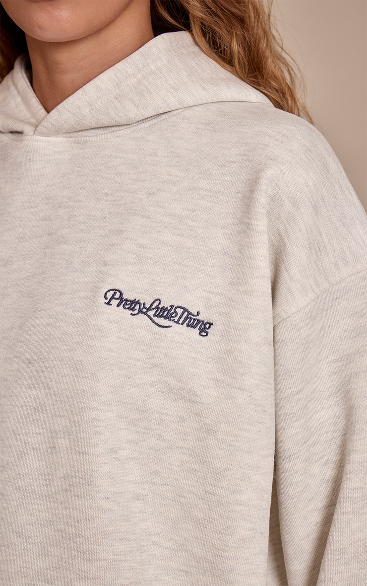 PLT Ash Grey 440 GSM Heavyweight Cotton Loopback Hoodie image 4