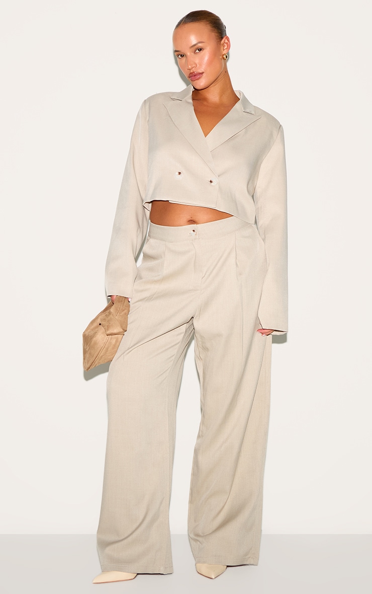 Plus Light Grey Tailored Woven Wide Leg Pants image 1