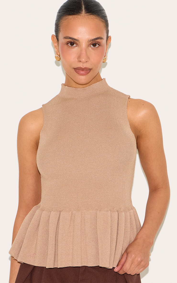 Petite Taupe Knitted High Neck Peplum Hem Long Top image 1