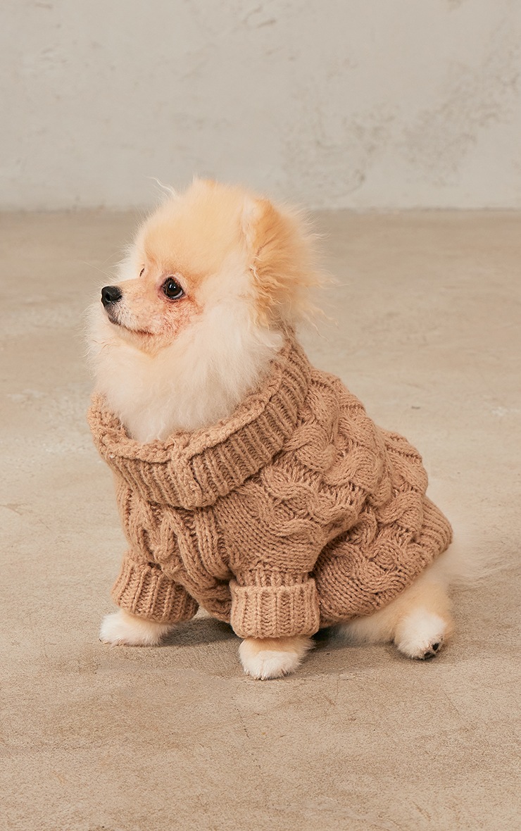 Cappuccino Cable Knit Cosy Dog Jumper image 1