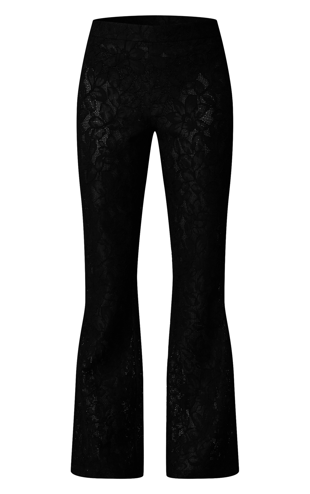 Thee Sheer Floral Lace Pants