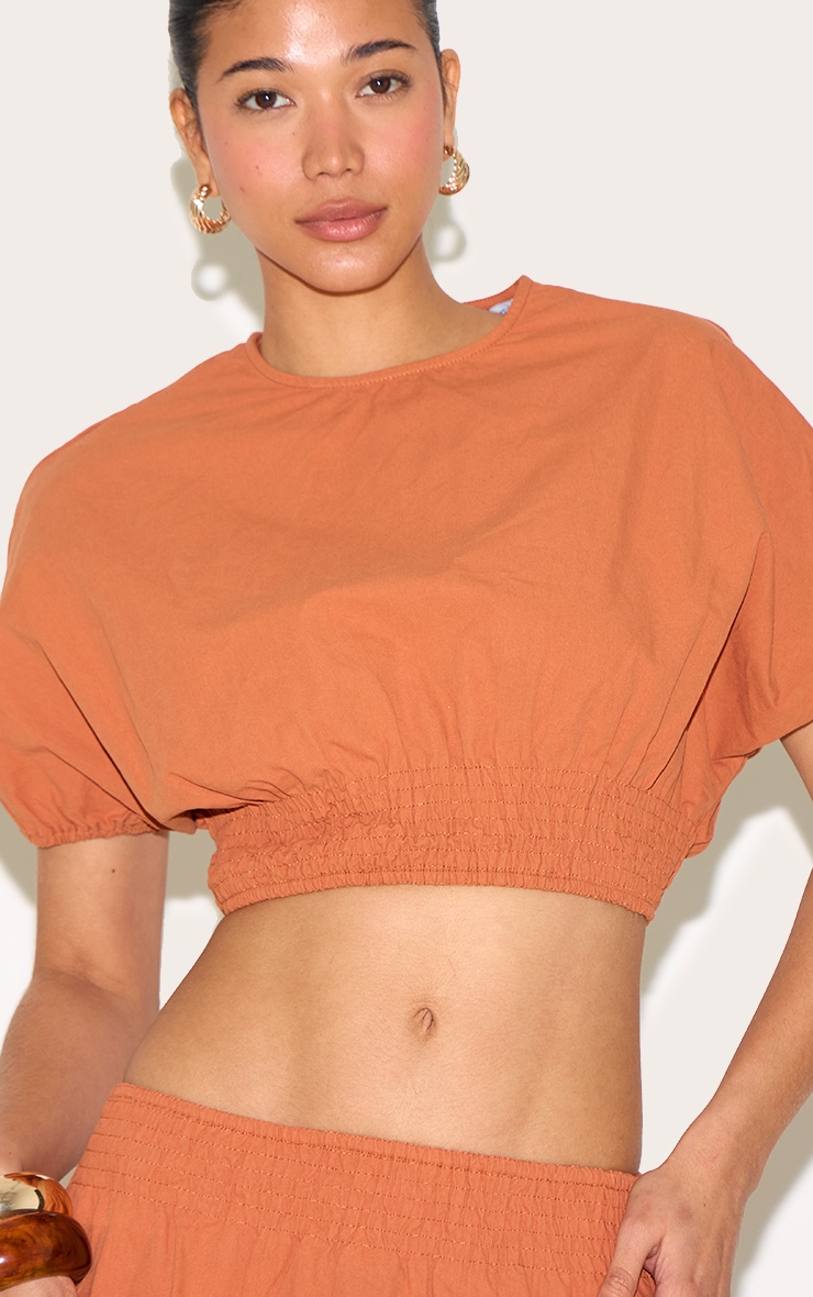 Burnt Orange Sheered Waist Cap Sleeve Crop Top image 4