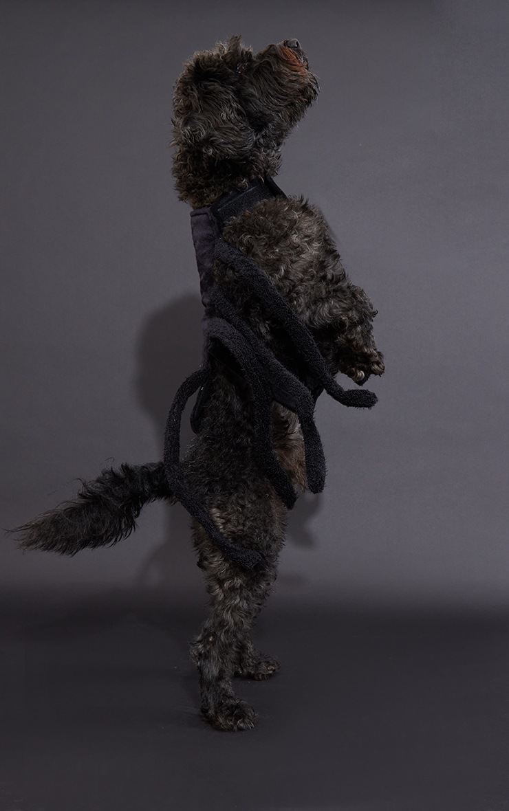 Black Dog Spider Legs Halloween Costume image 4