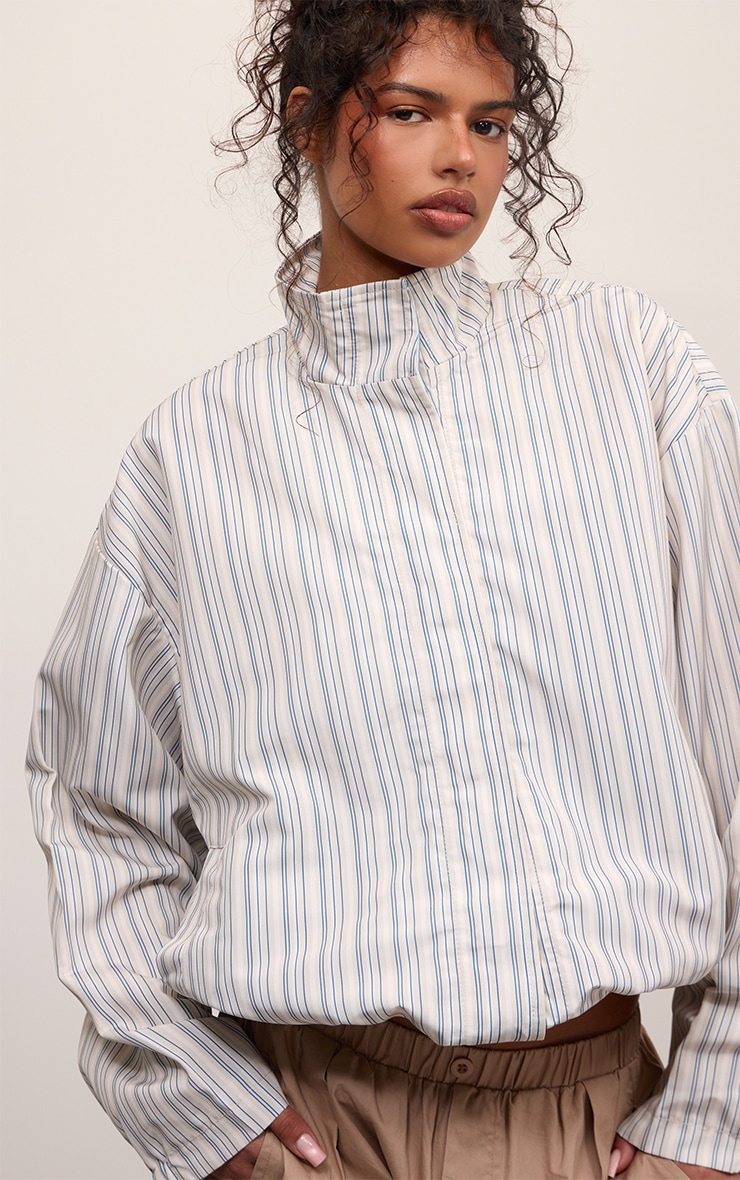 Blue Stripe Button Up Jacket