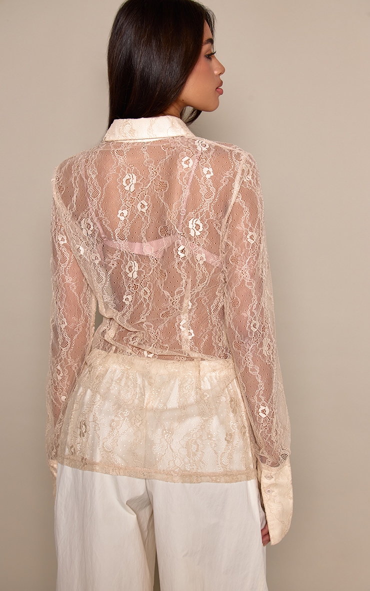 Nude Delicate Lace Fitted Shirt  image 2