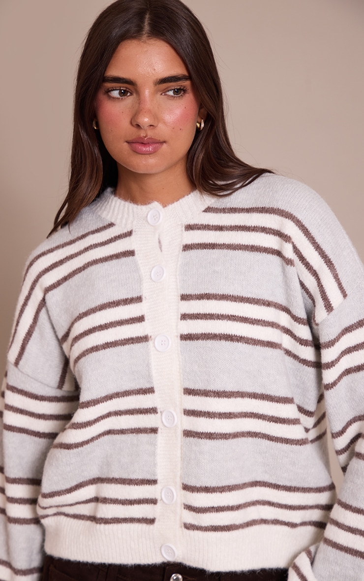 Grey Wool Blend Striped Cardigan image 4