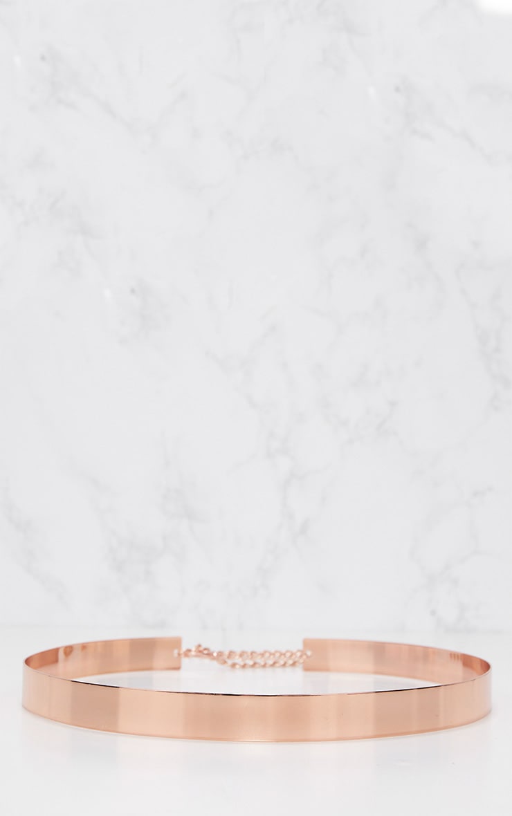 Rose gold wide belt Clearance