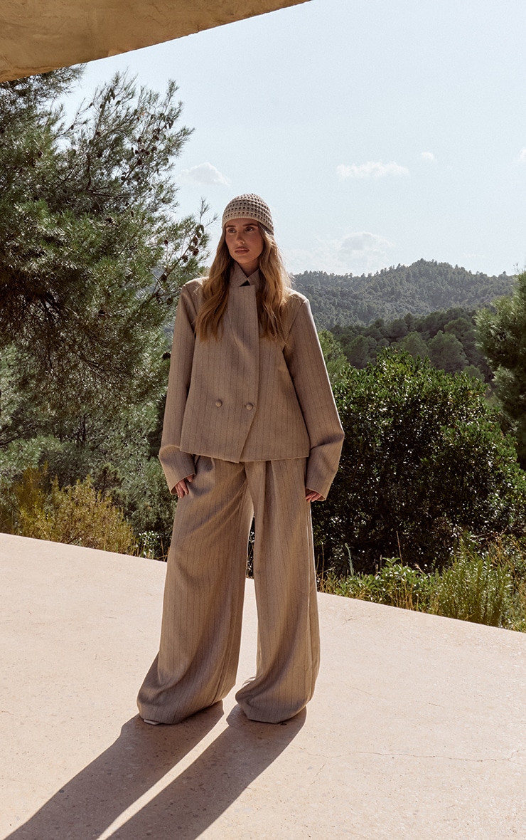 Taupe Pinstripe Pleated Wide Leg Pants image 3