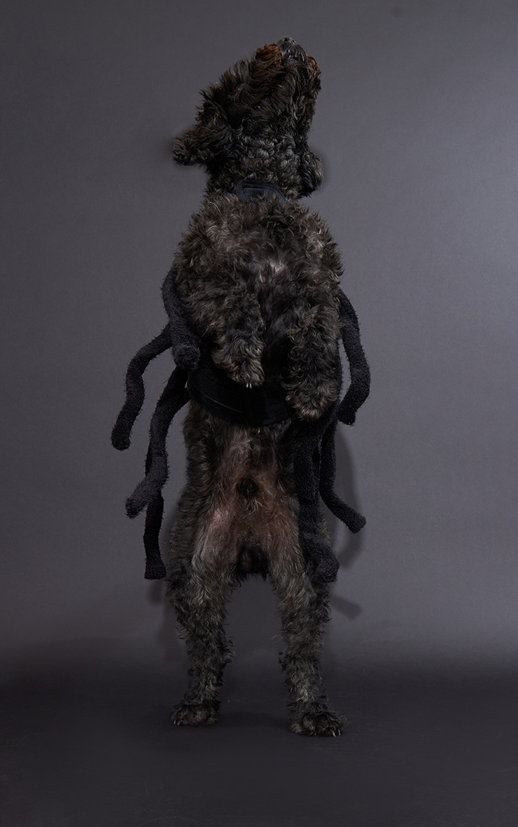 Black Dog Spider Legs Halloween Costume image 2