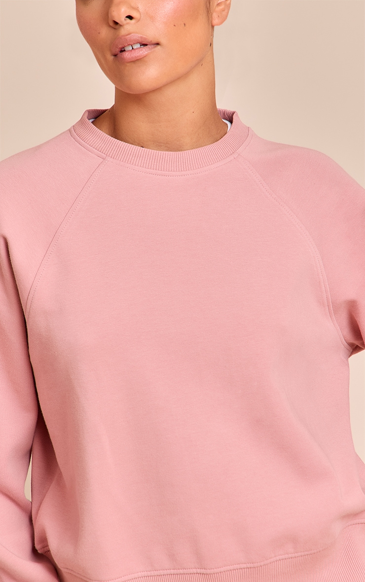 Petite Pink Crew Neck Sweatshirt image 4