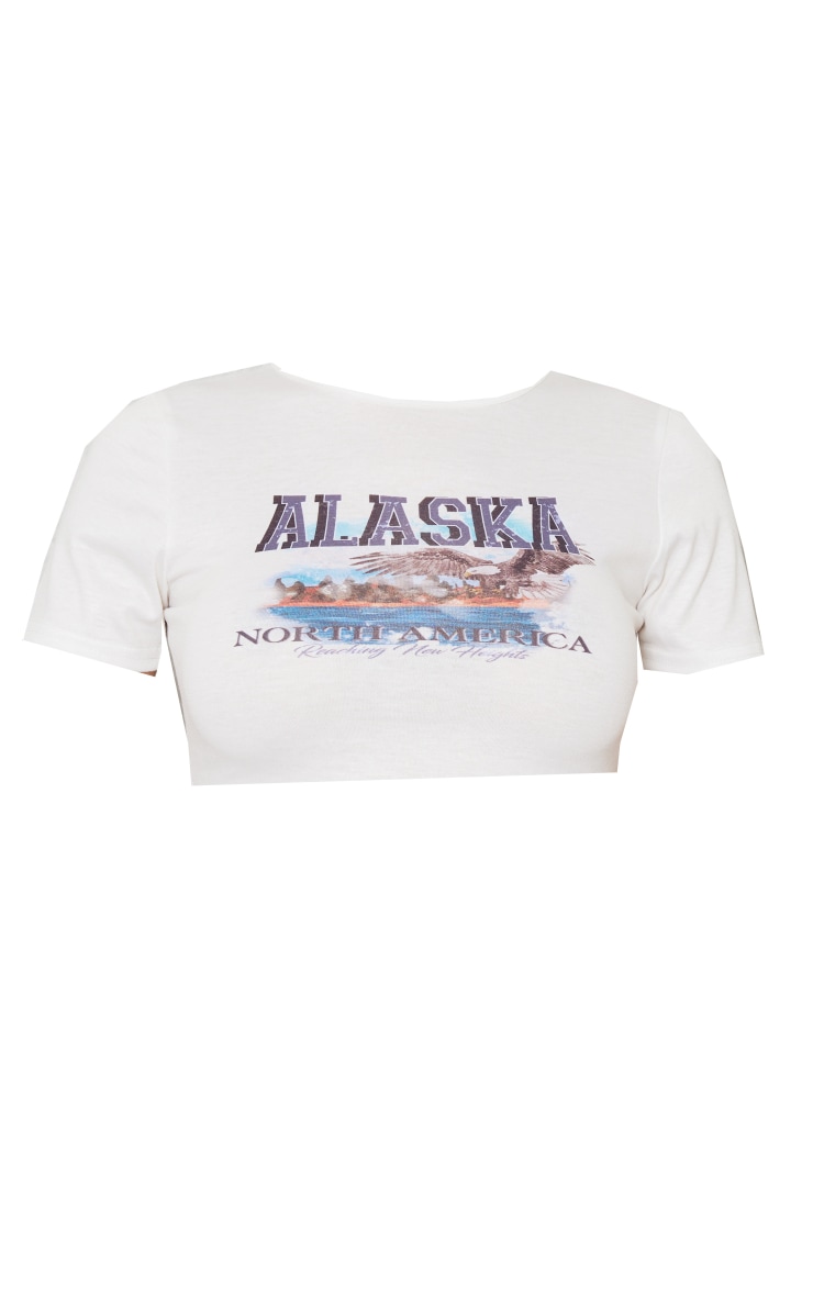 T-shirt court gris pierre à imprimé Alaska image 5