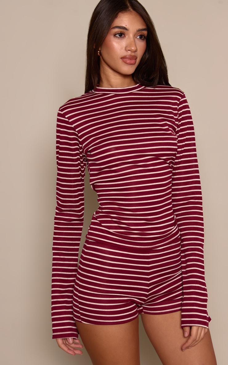Burgundy Stripe Ribbed High Neck Long Sleeve Top image 1