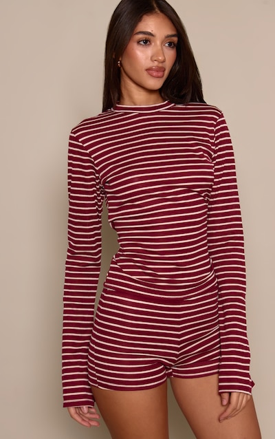 Burgundy Stripe Ribbed High Neck Long Sleeve Top