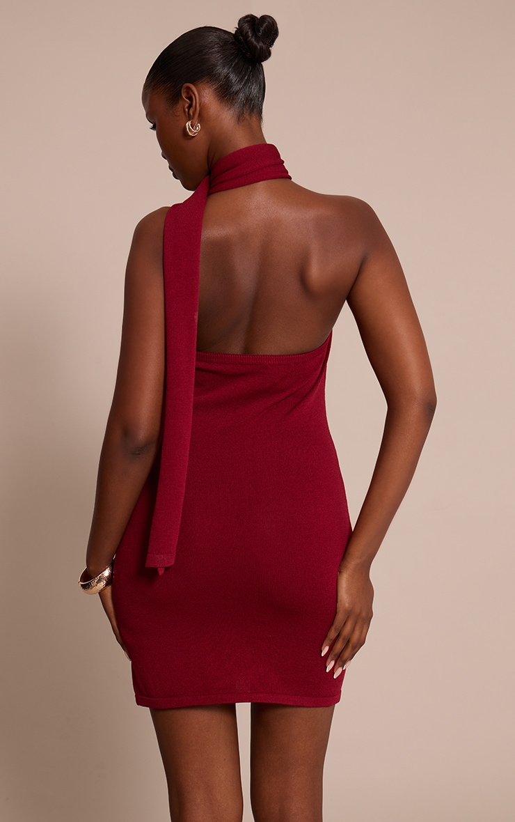 Wine Scarf Detail Mini Dress image 2