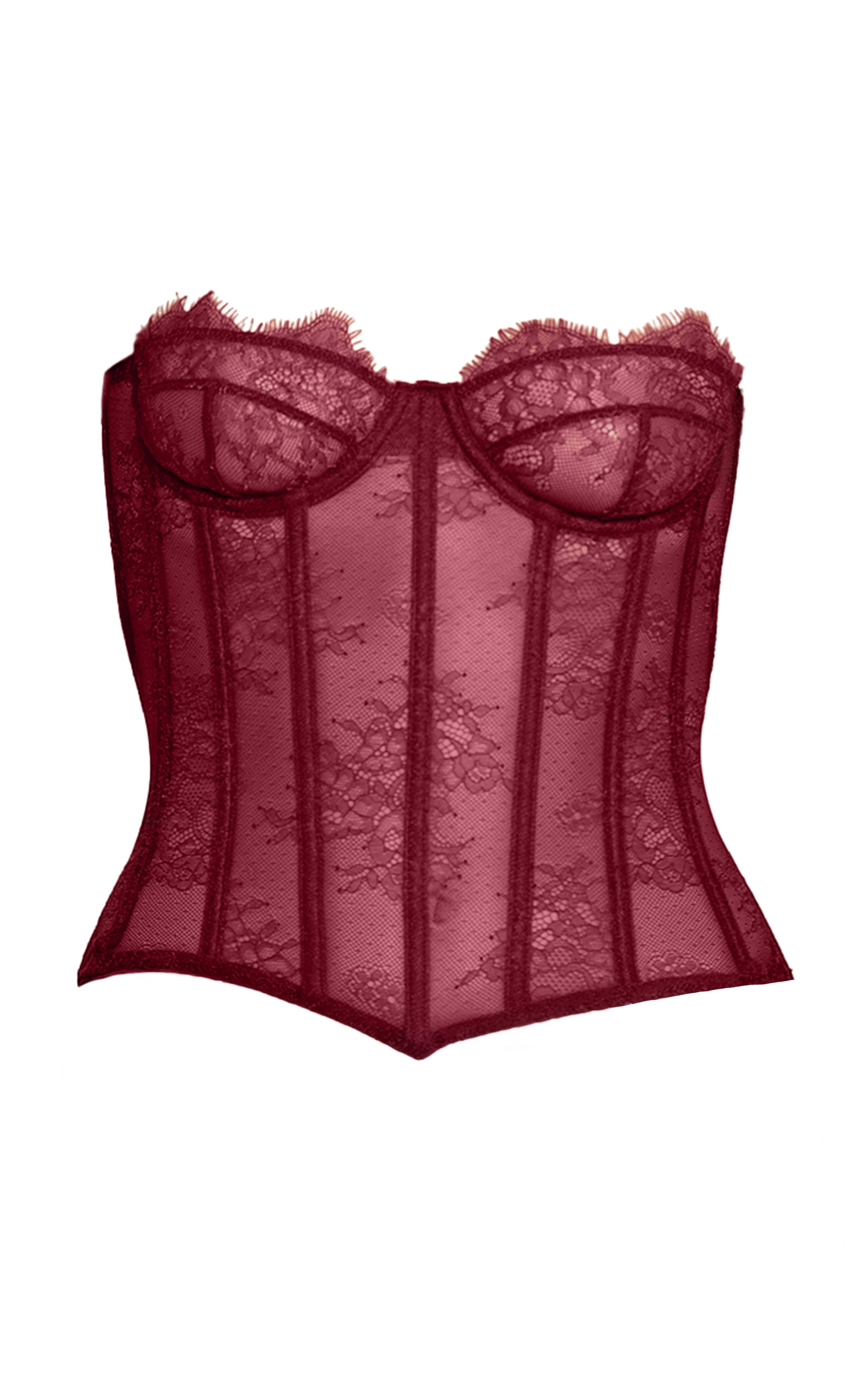 Plum Lace Sheer Boned Coset  image 5