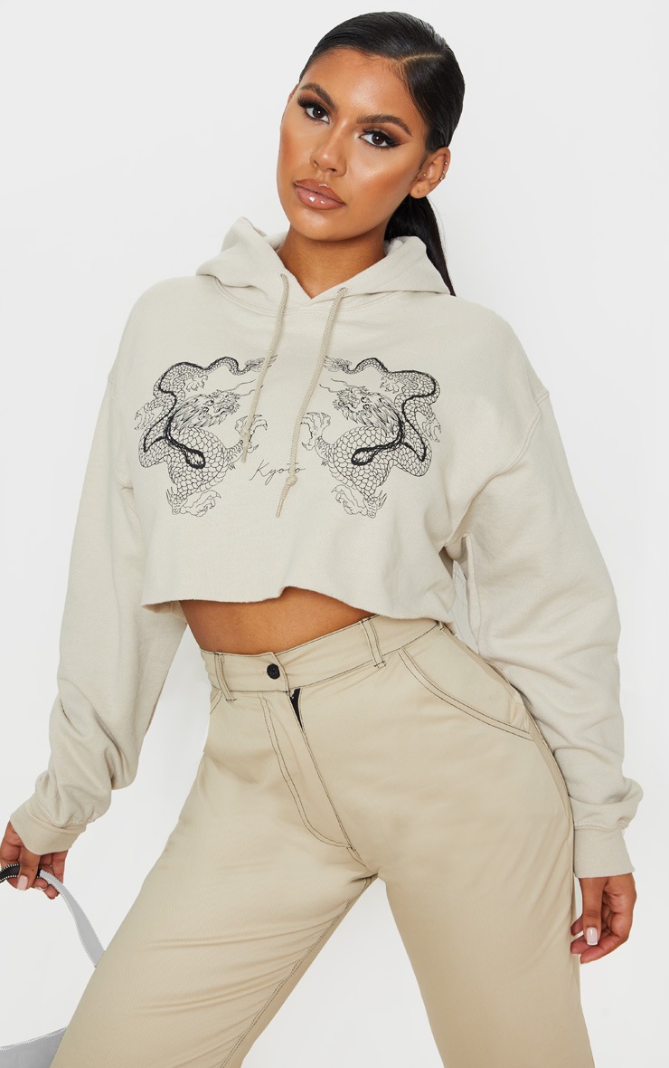 Hoodie court sable à dragons et manches longues