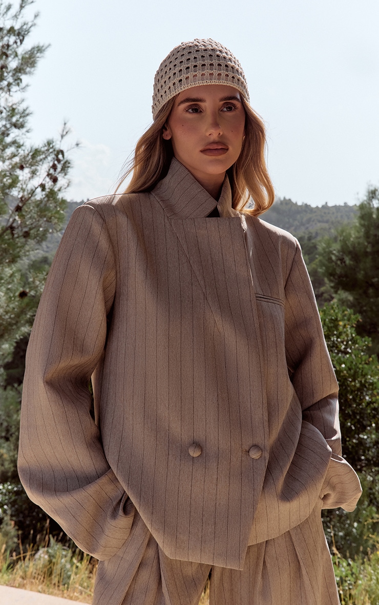 Taupe Pinstripe Pleated Wide Leg Pants image 4