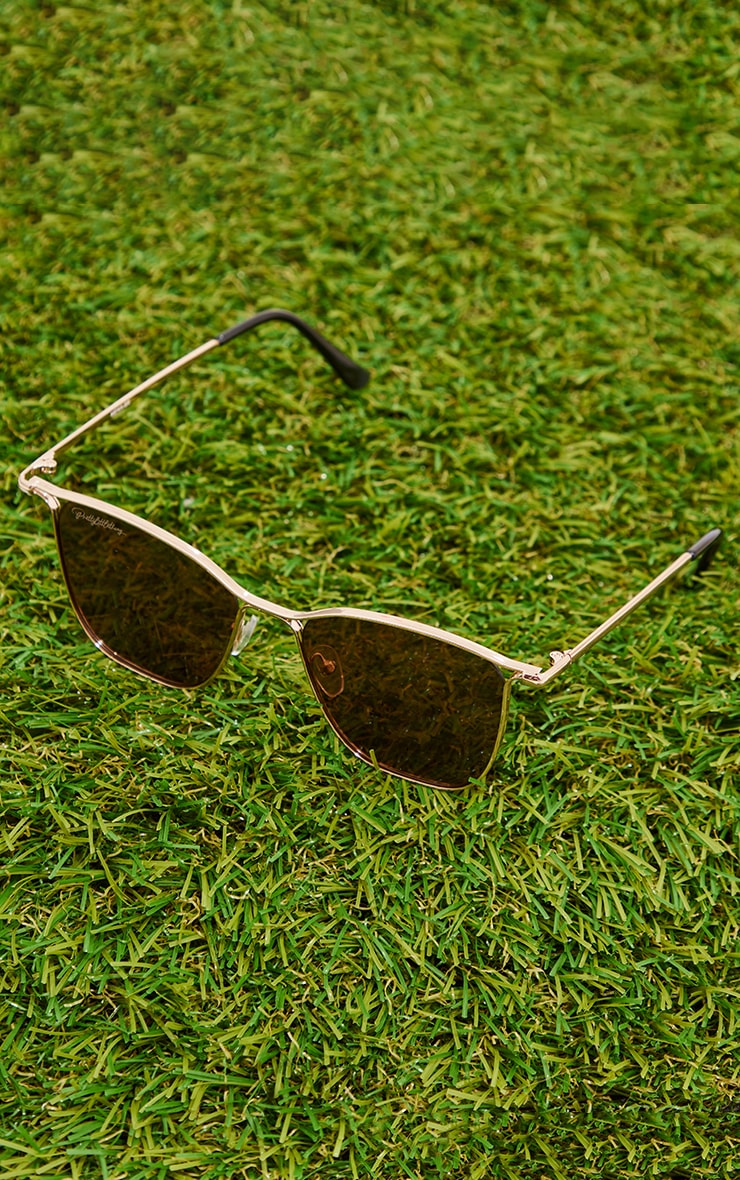 Plt Brown Lens Gold Wire Frame Retro Sunglasses PrettyLittleThing KSA