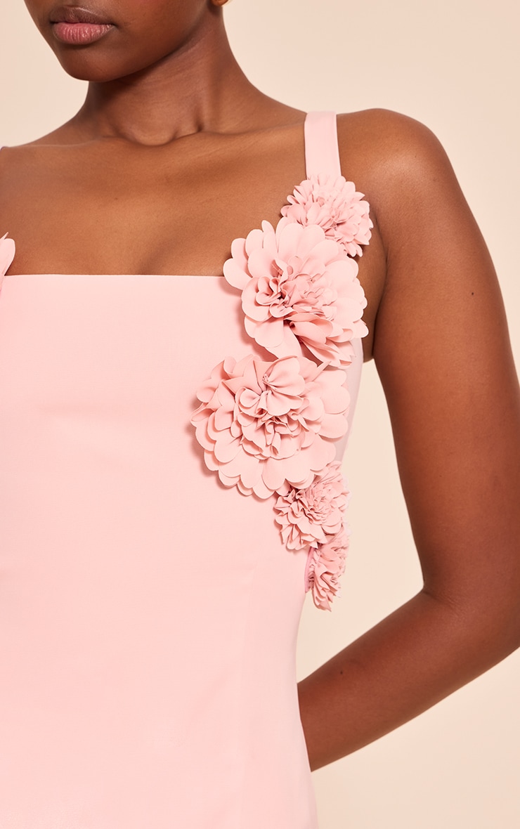 Blush Floral Detail Shift Dress image 4