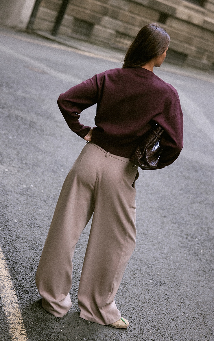 Pantalon droit brossé coupe tailleur couleur champignon image 3