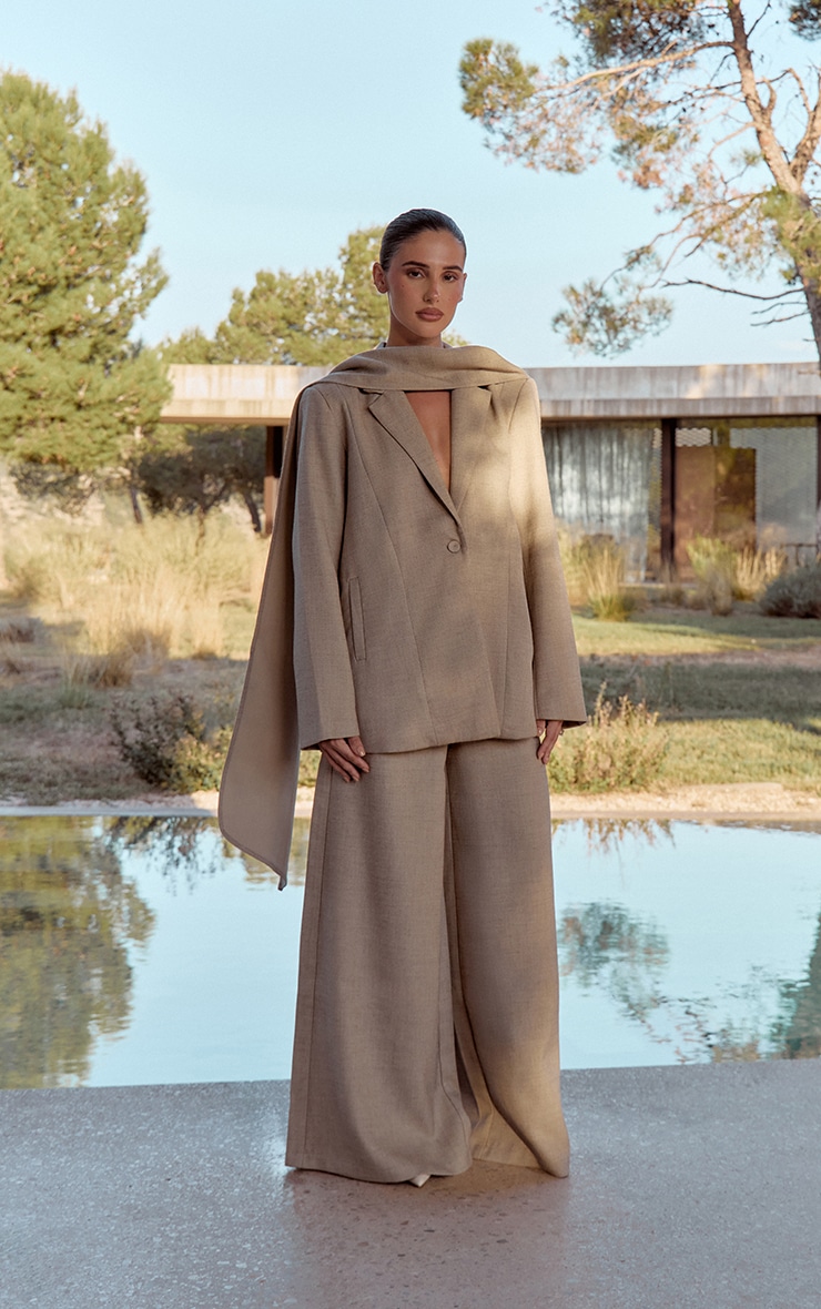 Stone Woven Wide Leg Extreme Pleated Pants image 1