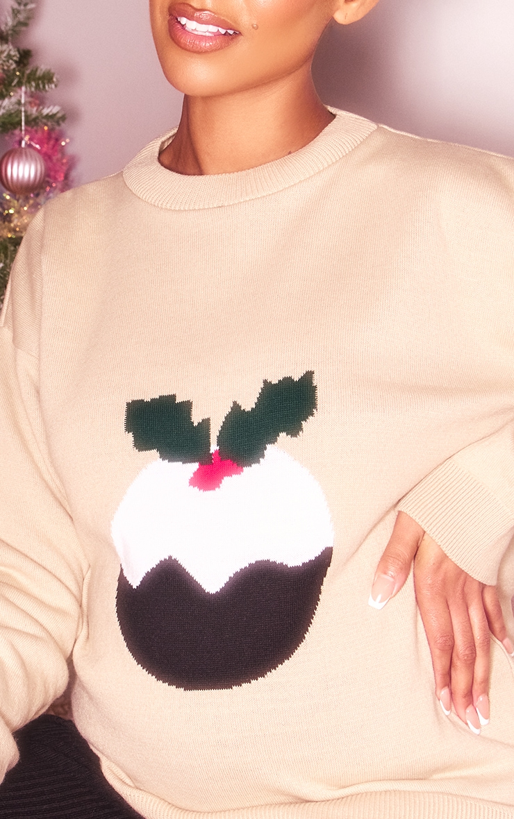 Maternity Oatmeal Christmas Pudding Christmas Jumper Maternity PrettyLittleThing QA